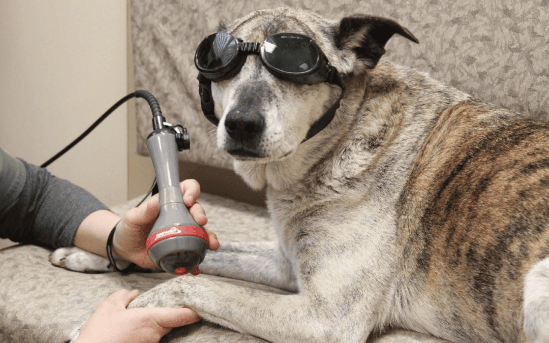 Therapy Laser
